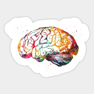 Human Brain Sticker